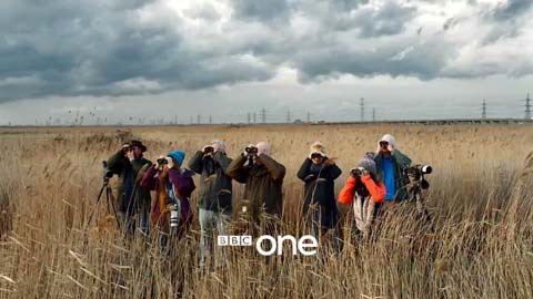 BBC One Oneness Birdwatchers ident (24K)